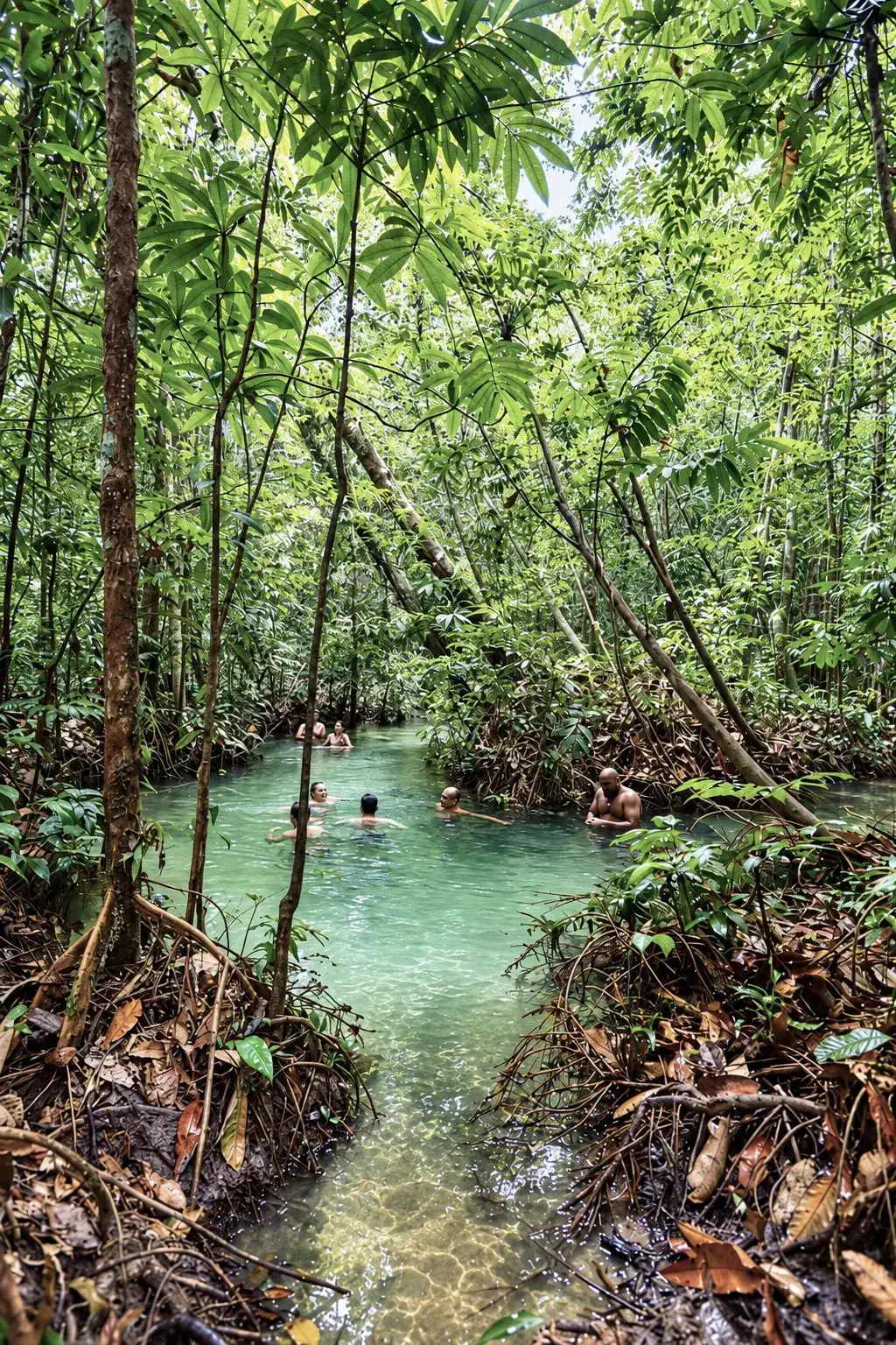 Rumo ao Jamaraquá
