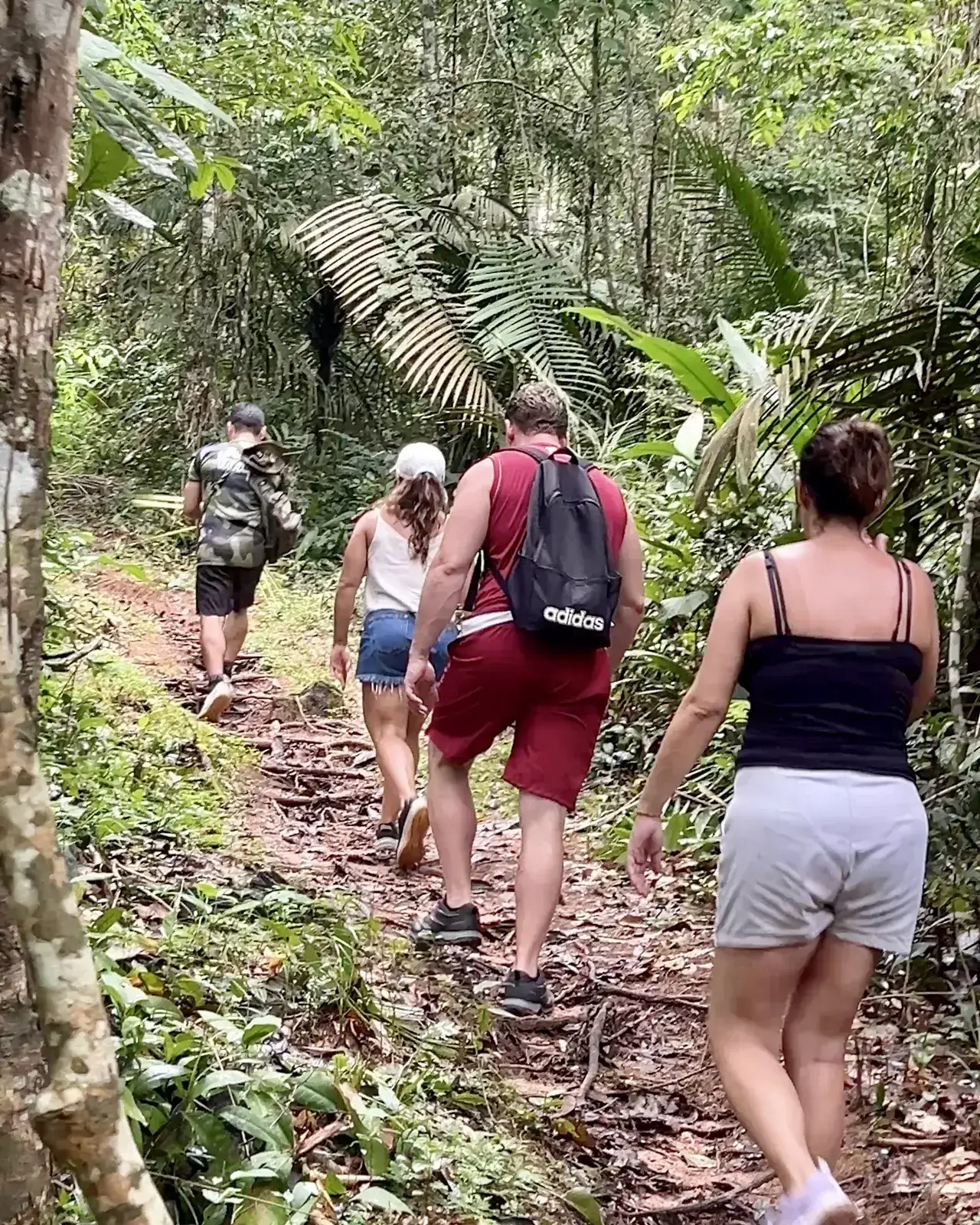 A trilha do Piquiá