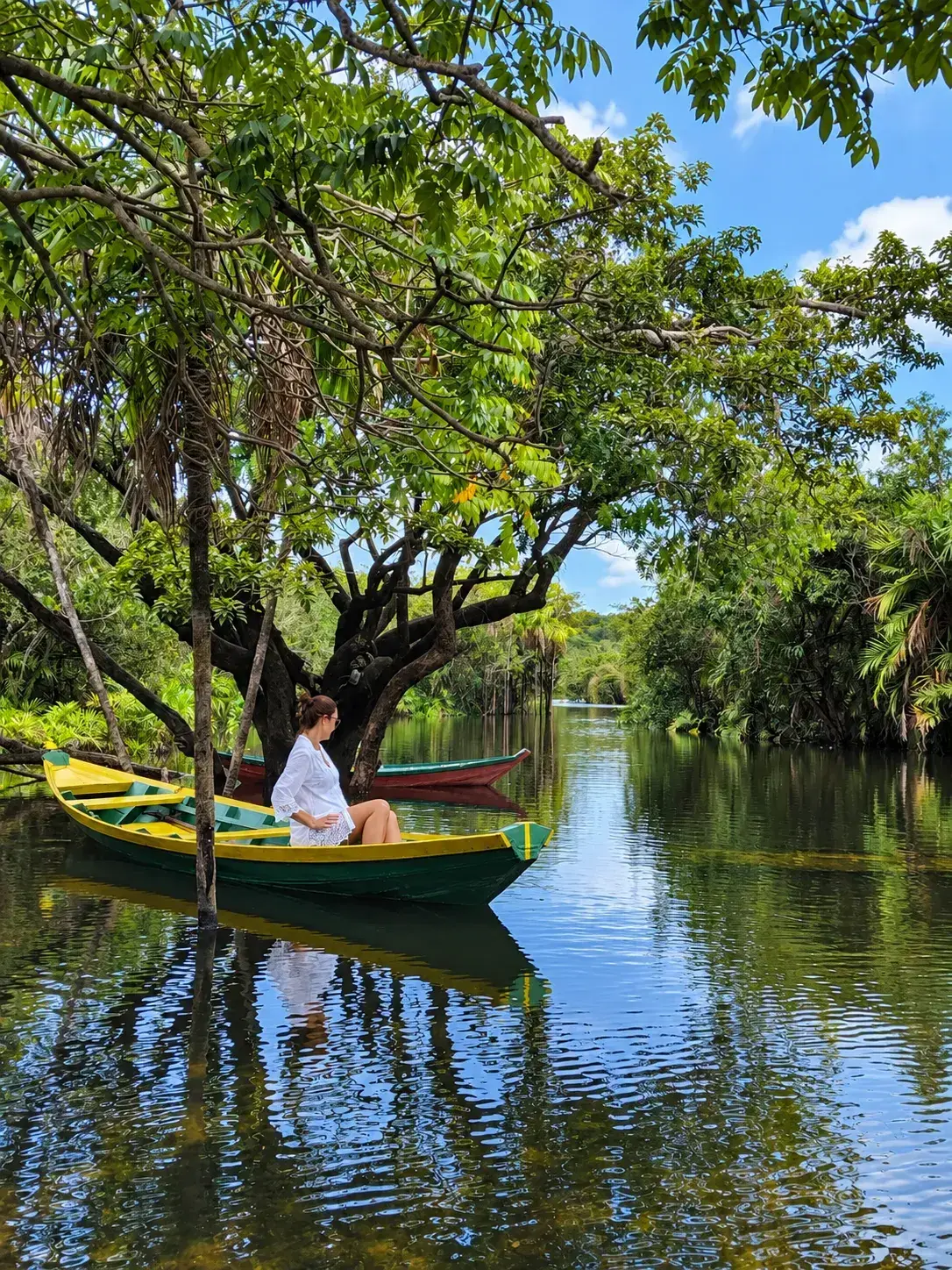 Floresta Encantada