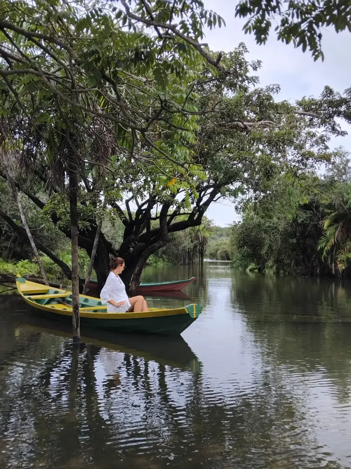 Floresta Encantada
